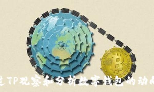   
如何通过TP观察和分析数字钱包的动向与活动