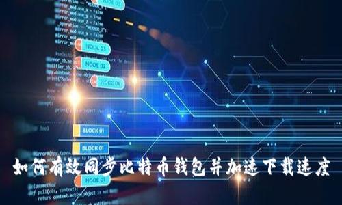 如何有效同步比特币钱包并加速下载速度