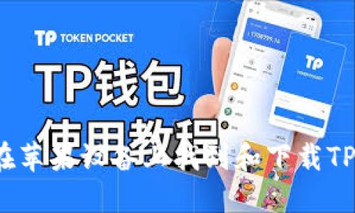 如何在苹果设备上找到和下载TP钱包？