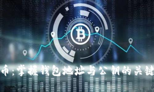 比特币：掌握钱包地址与公钥的关键之道