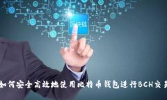 如何安全高效地使用比特币钱包进行BCH交易