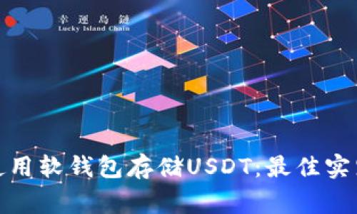 : 如何安全使用软钱包存储USDT：最佳实践与注意事项